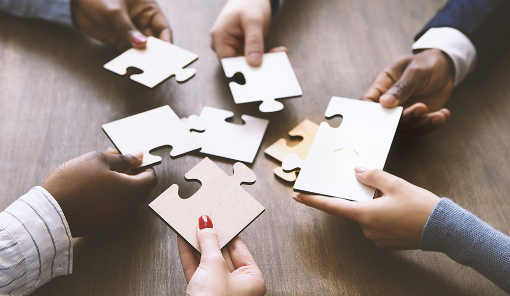 a diverse group of hands holds puzzle pieces that they are trying to fit together